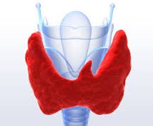Thyroid Support Group