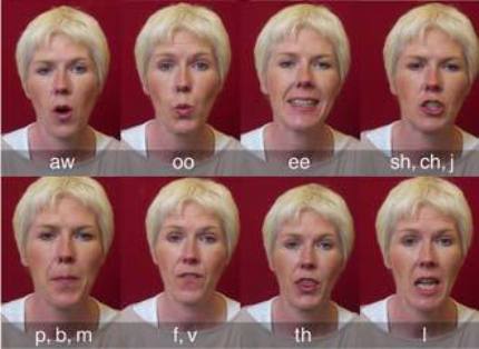 Lipreading