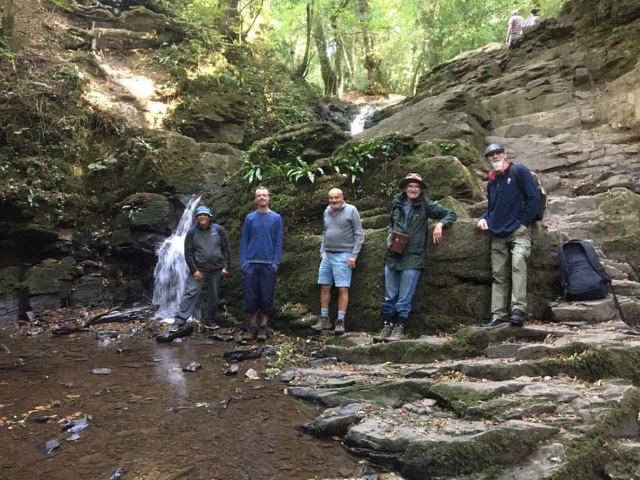 Man Alive at Greyfield Woods