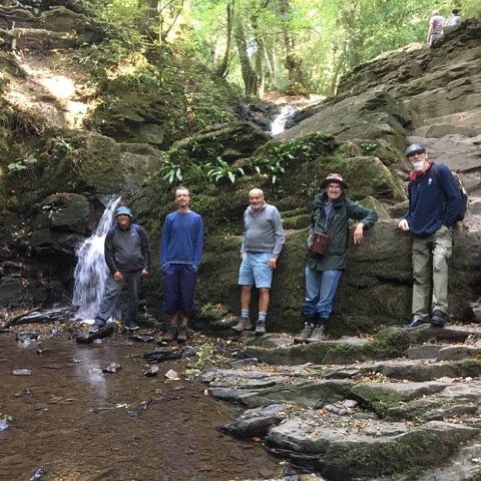 Man Alive at Greyfield Woods